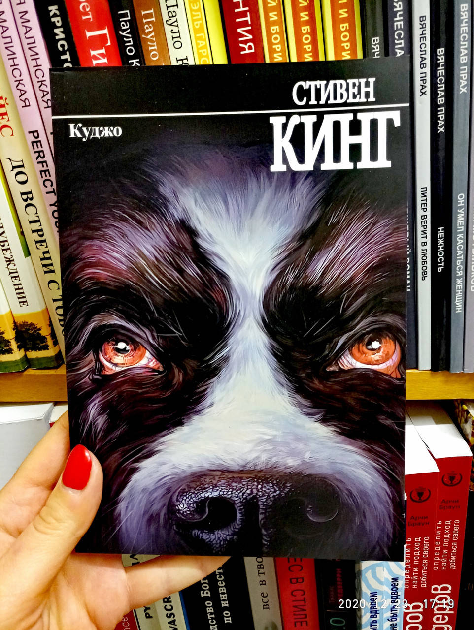 

Куджо Стивен Кинг