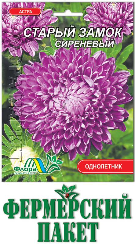 

Астра Старый Замок сиреневая (большой пакет), Фиолетовый
