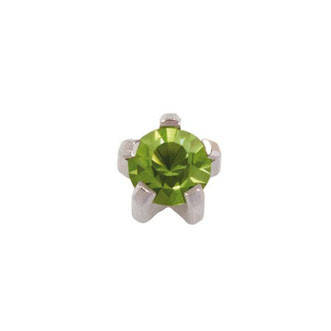 

Серьги гвоздики Studex/Nina R108W в крапане