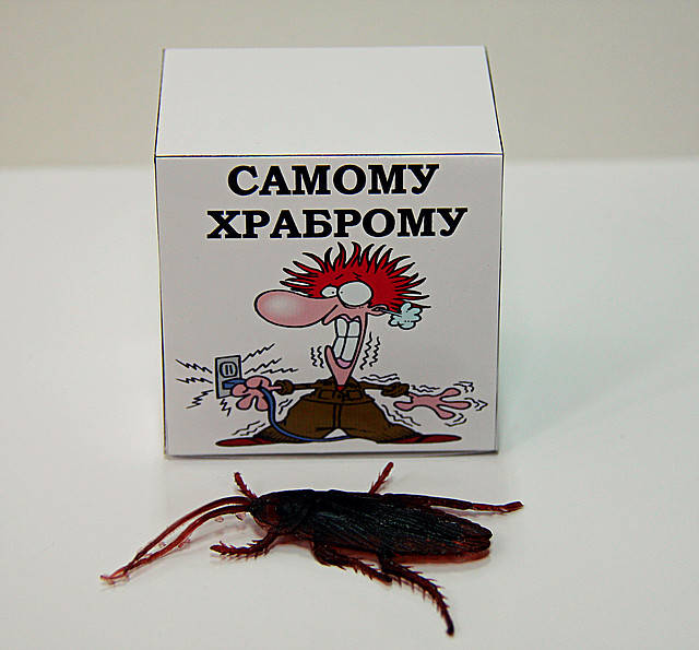 

Самому храброму
