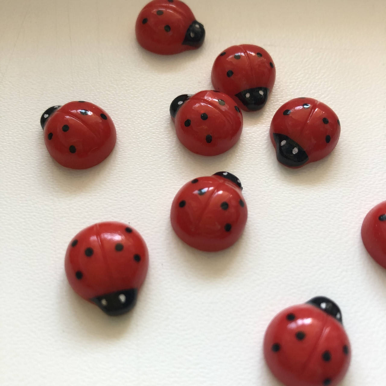 

Божья коровка акриловая, Красный