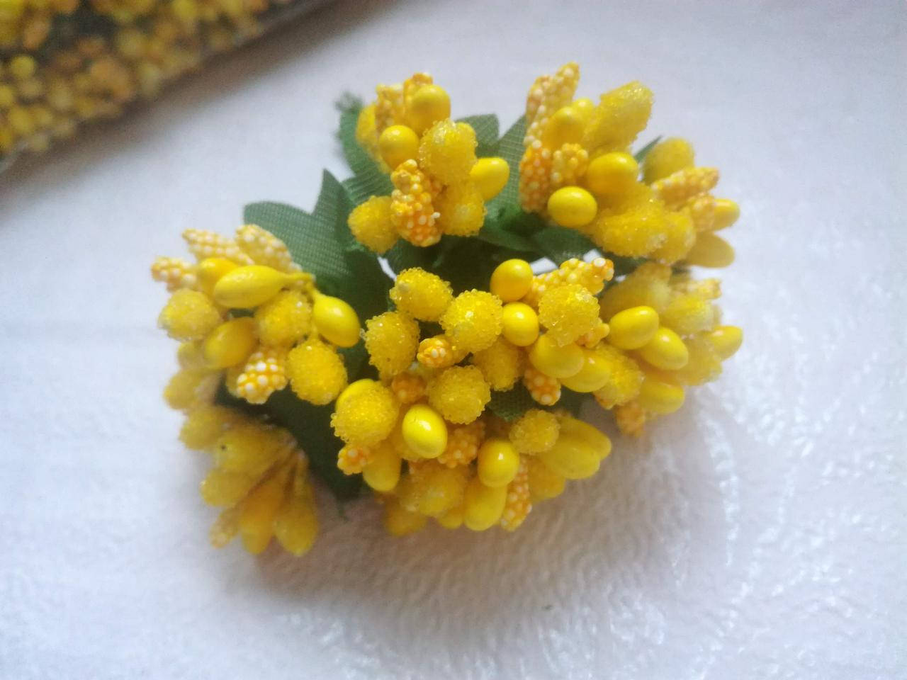 

Тычинка обыкновенная, ярко-желтая