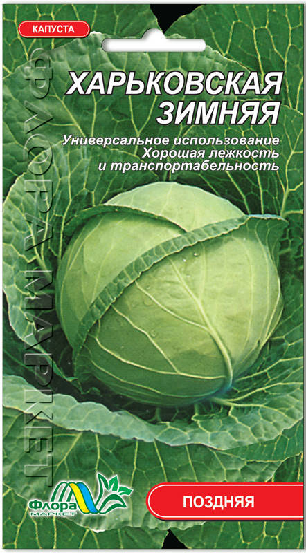 

Капуста Харьковская зимняя