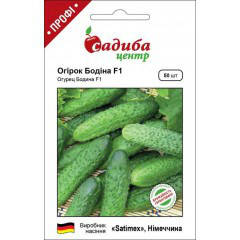

Семена Огурец самоопыляющийся Бодина F1, 50 семян Satimex