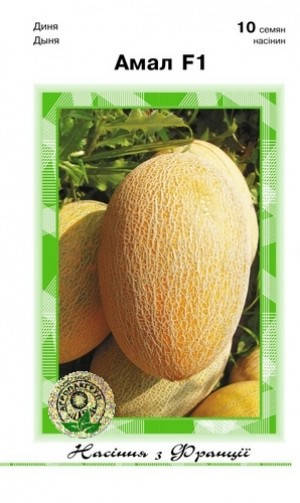 

Дыня Амал F-1 10 насінин (Агропакгруп)