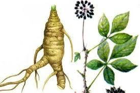 

Элеутерокока корень измельченный 100 грамм