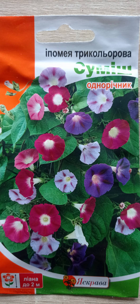 

Іпомея трикольорова суміш 1 г Яскрава