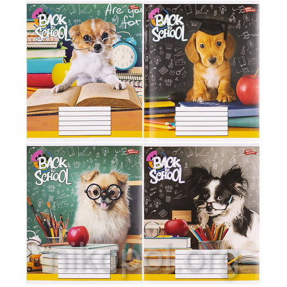 

Тетрадь школьная 12 листов клетка, серия "Назад в школу", белизна 100%