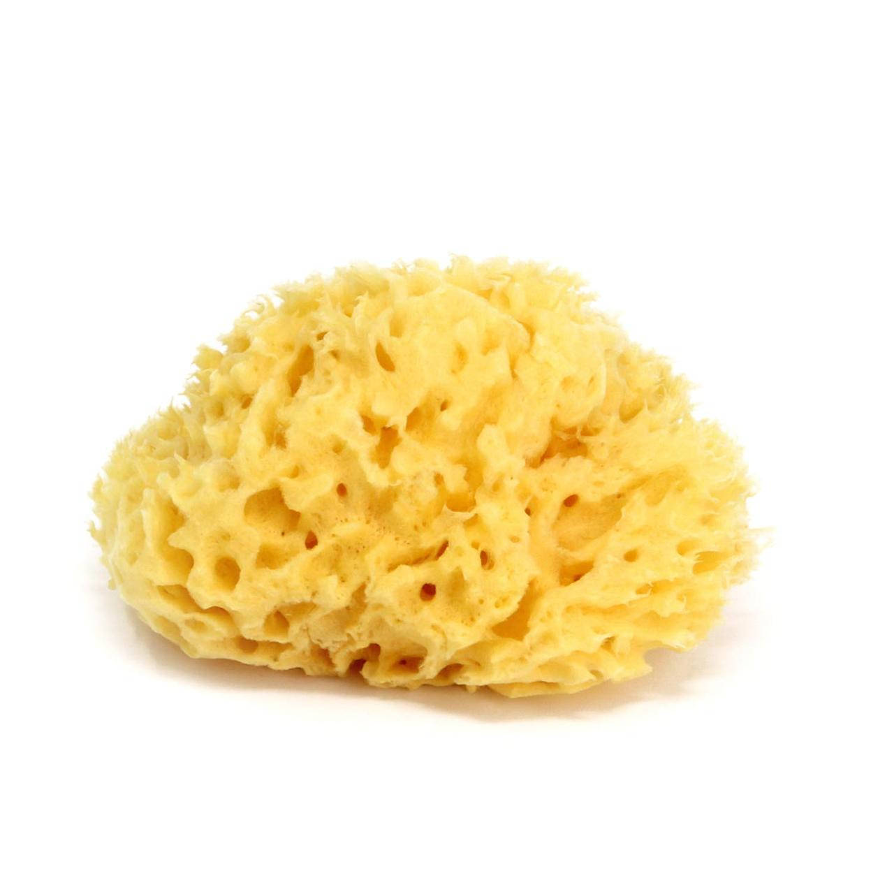 

Губка морская натуральная OK Baby "Silk Fine sea sponge" размер 16 (38481600)