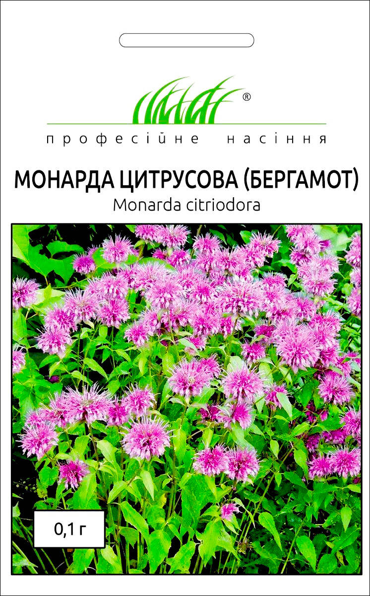 

Професійне насіння. Семена Монарда цитрусовая (Бергамот) Лекарственная, 0.1 г