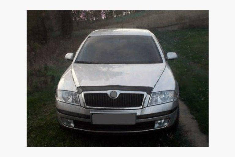 

Дефлектор на капот (мухобойки) Skoda Octavia (A5) 2004-2013