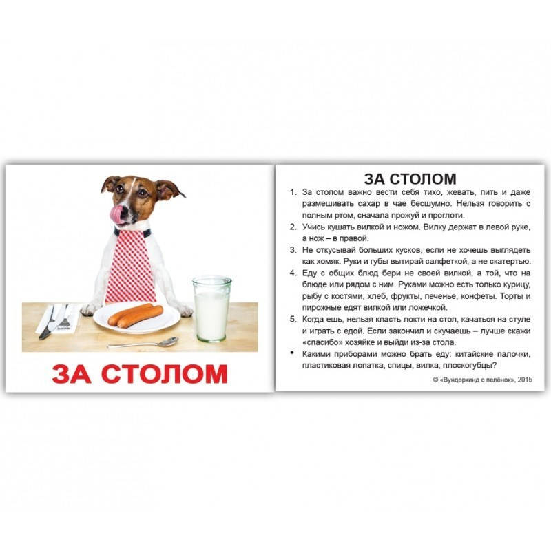 

Правила поведения. Карточки Домана. Мини. 40 шт.