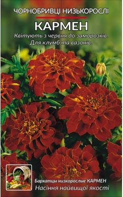 

Бархатцы Кармен