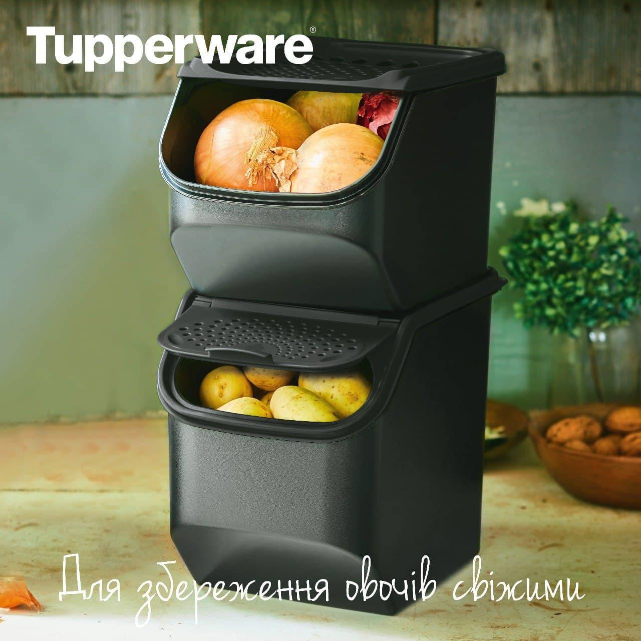 

Набор Контейнер "Свежесть" 5.5 л и Контейнер "Дыхание" 3 л черный Tupperware (Оригинал)