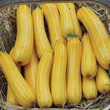 

Кабачок (Солнечная полоска)