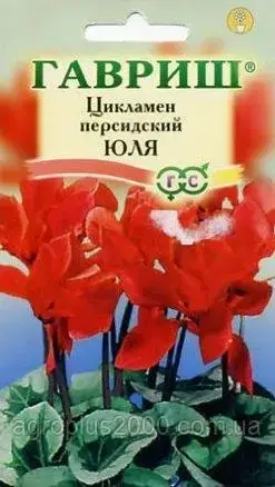 

Семена Цикламен персидский Юля 3 сем. Гавриш, Красный