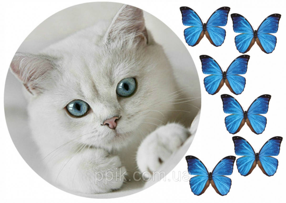 

Вафельная картинка Котик