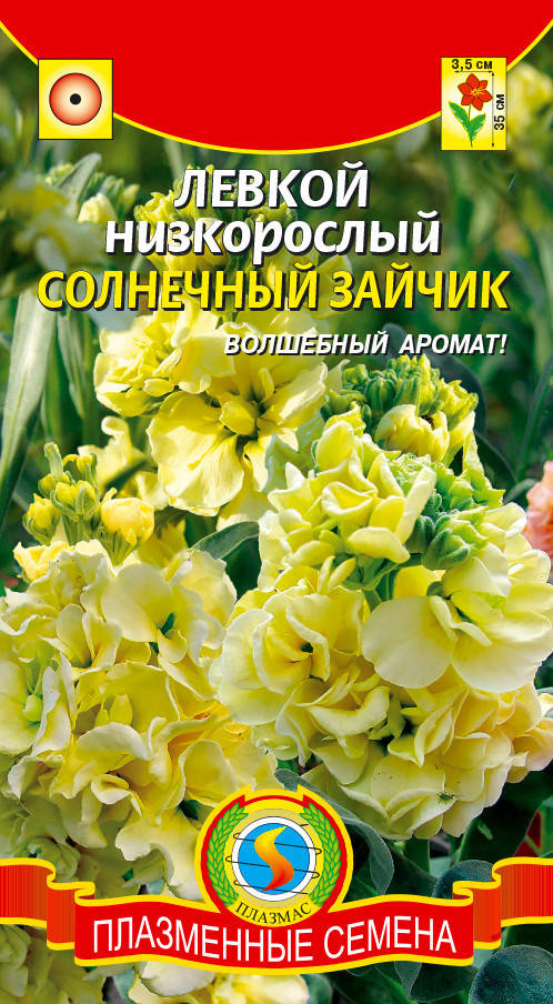 

Левкой низкорослый Солнечный зайчик 0,1 г (Плазменные семена)
