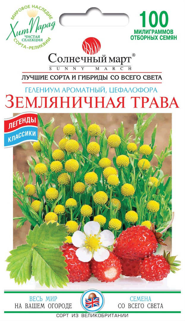 

Земляничная Трава, 100шт. Ароматические травы