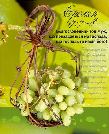 

Міні-листівка: Благословенний той муж, що покладається на Господа… #17