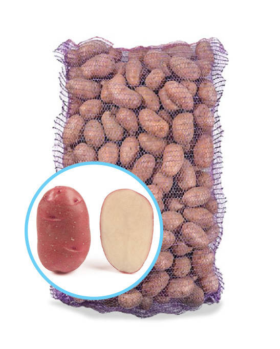 

Семенной картофель Торнадо, Голландия / Ультра Ранний / 1я репродукция 5