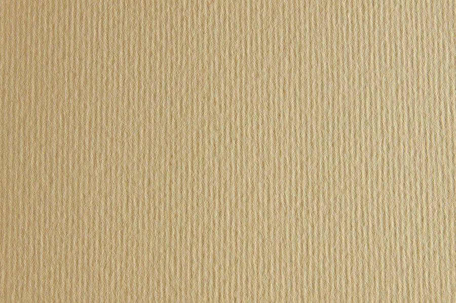 

Бумага Elle Erre А3 (29,7*42см) 220g. №01 panna (бежева) Fabriano