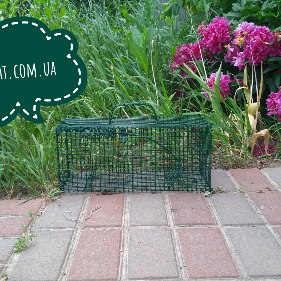 

Щуроловка металева Standart Trap (безпечна)
