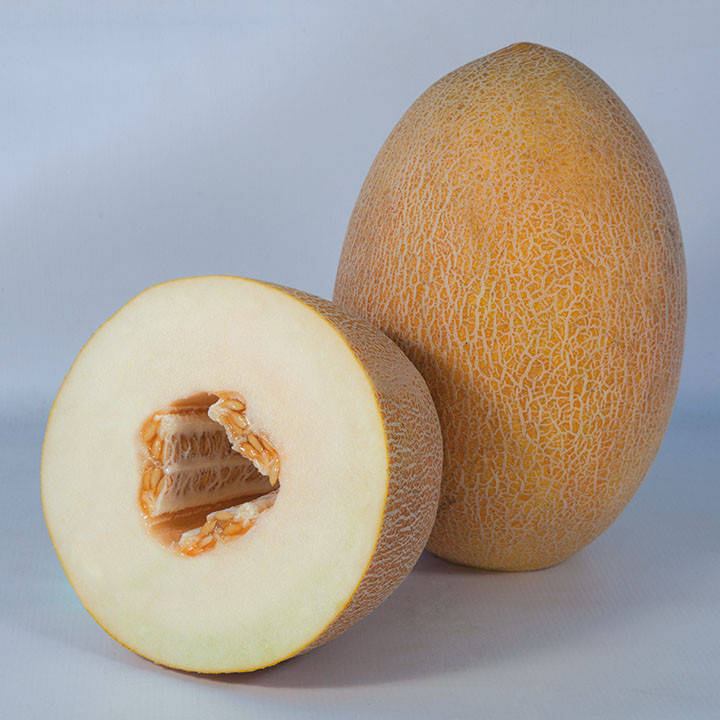 

Дыня KS 6188 F1 10 шт Kitano Seeds