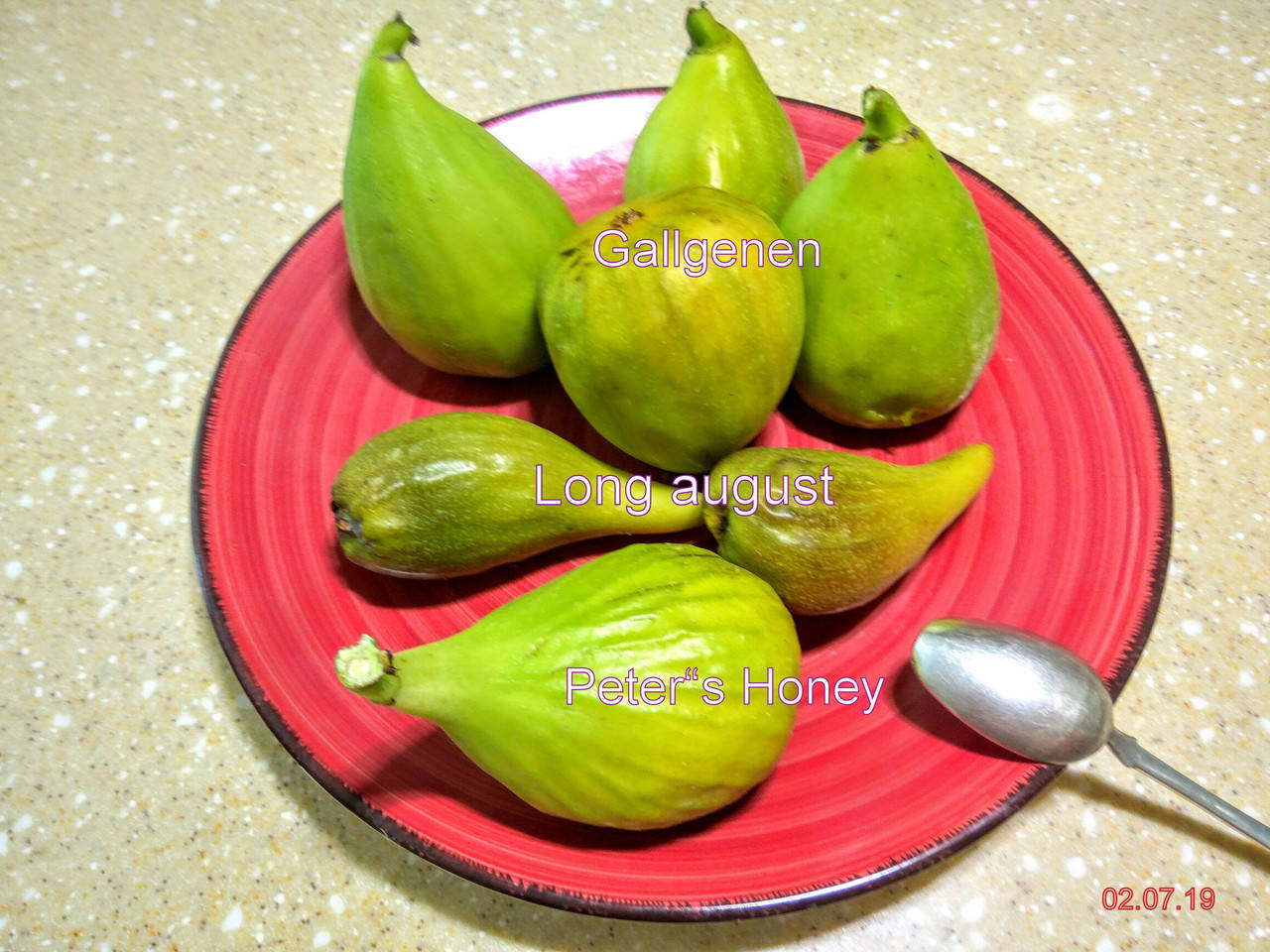 

Набор № 7 черенков инжира