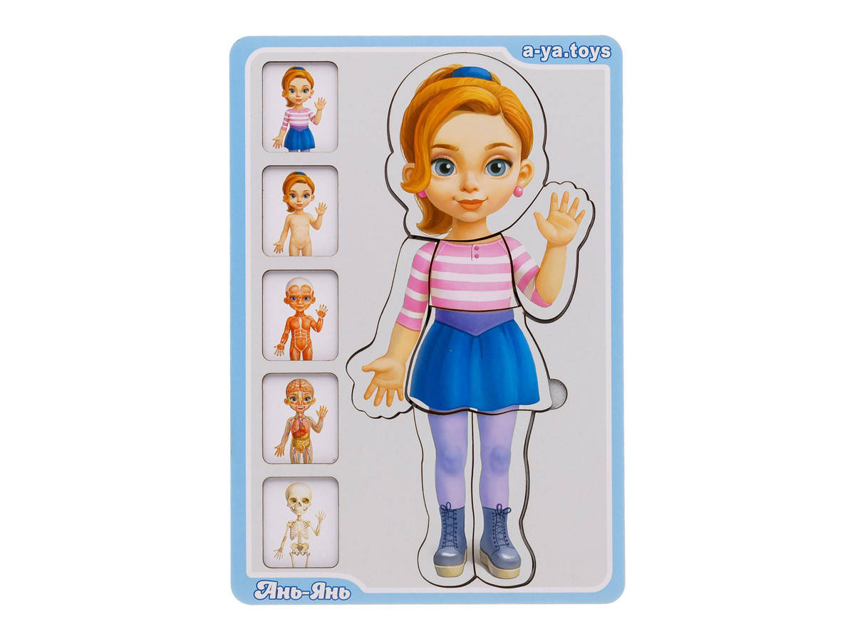 

Сортер-пазл "Анатомия человека – девочка" Ань-Янь. ПСФ025