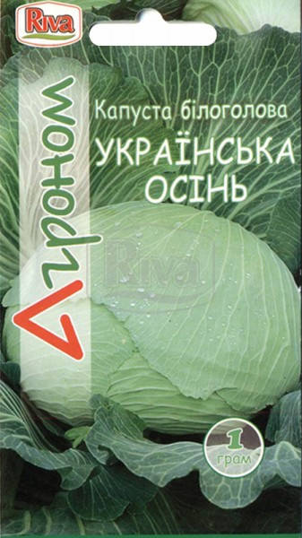 

Семена Капуста белокочанная поздняя Украинская осень 1 грамм Агроном