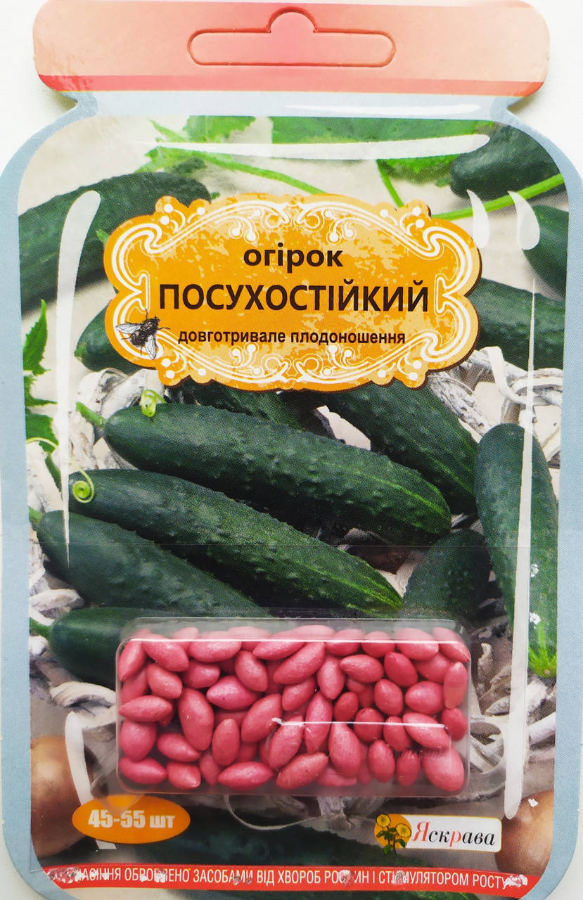 

Огірок Посухостійкий