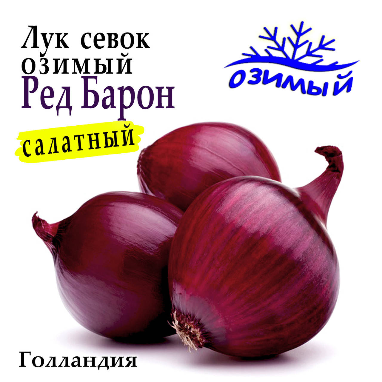 

Лук - севок озимый Ред Барон (Red Baron), Голландия, 1 кг