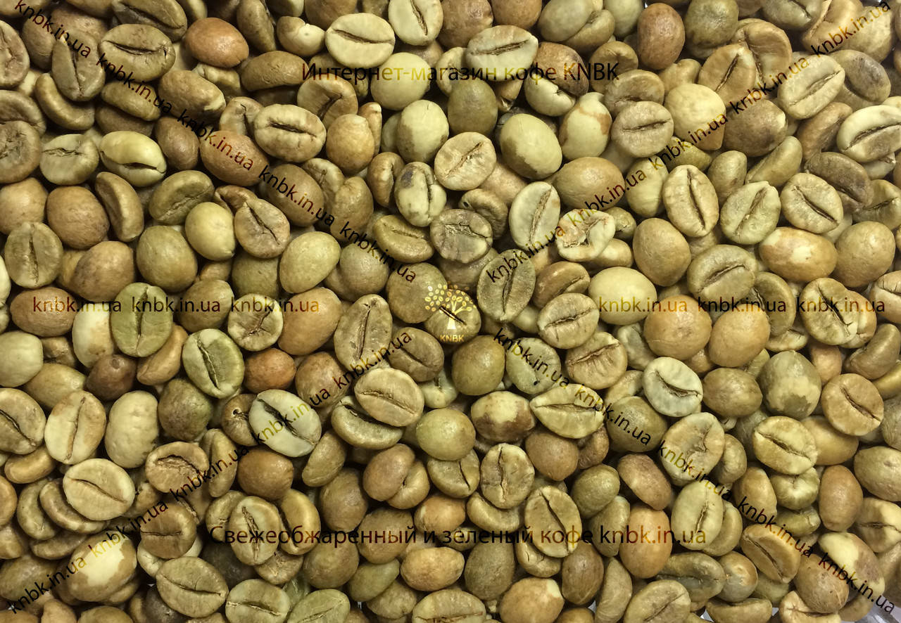 

Робуста Индия Черри ААА (Robusta India Cherry ААА) 1кг. ЗЕЛЕНЫЙ