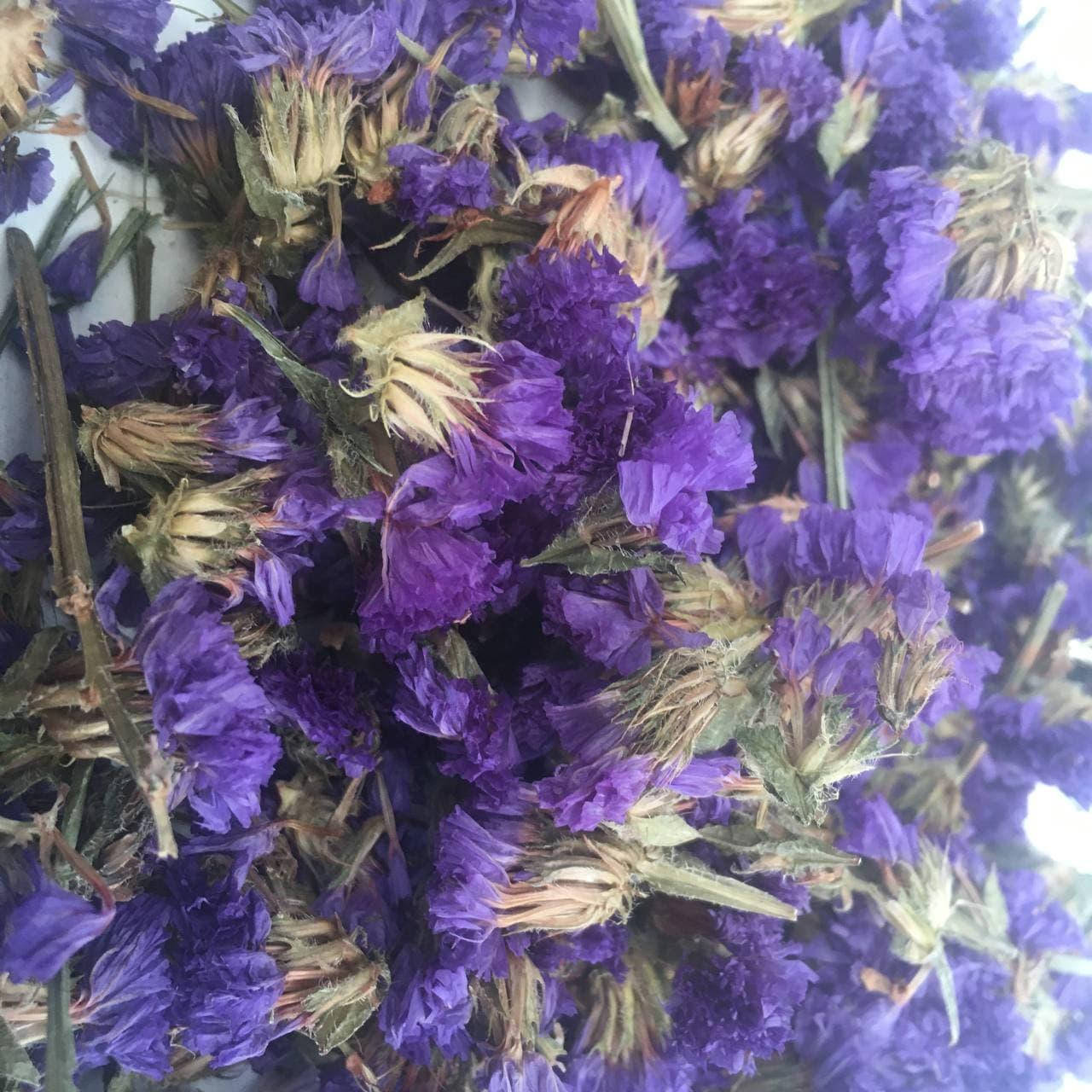 

Василек цветы 50 гр