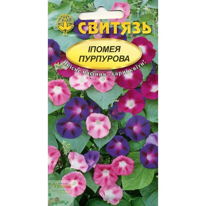 

Семена цветы Ипомея пурпурная, 1 г