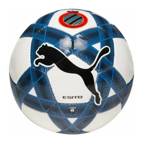 

Футбольный мяч Puma Club Brugge 081473-01, Белый, Размер (Украина) - 5