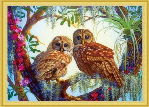 

50*40см Влюблённые Совушки, алмазная живопись, полная выкладка