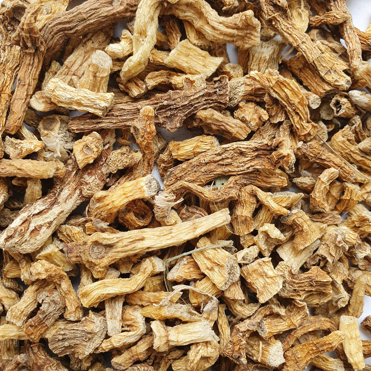 

Купена адамове ребро (корень) 50 гр (Свежий урожай)
