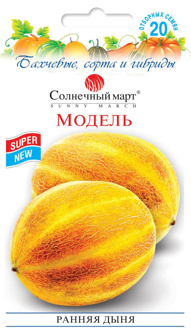 

Дыня Модель, 20шт.