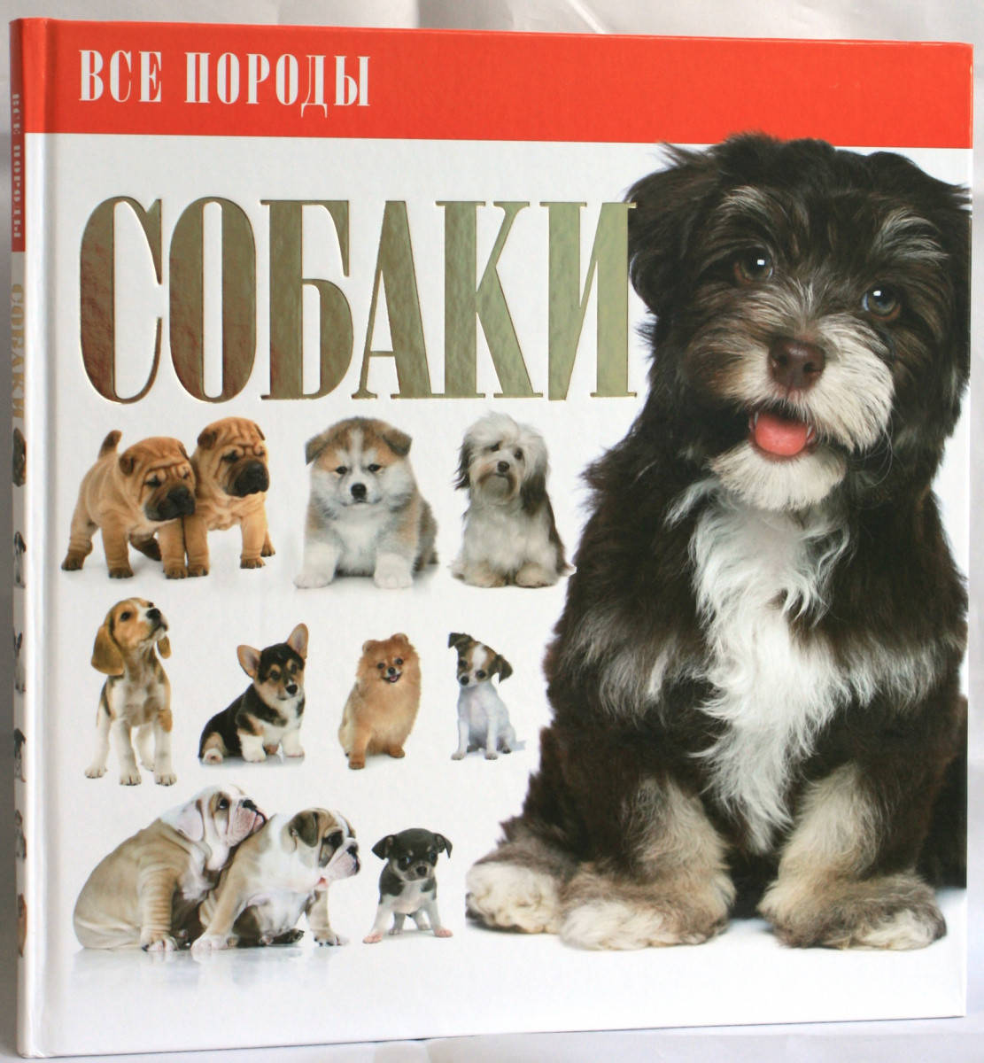 

Собаки. Все породы