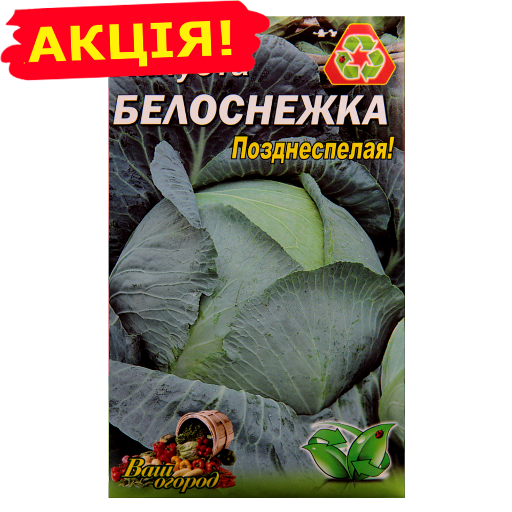 

Капуста Белоснежка позднеспелая большой пакет 5 г