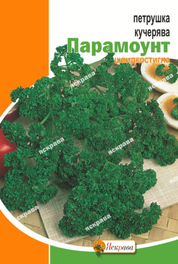 

Петрушка кучерявая Парамаунт 20 г, семена Яскрава