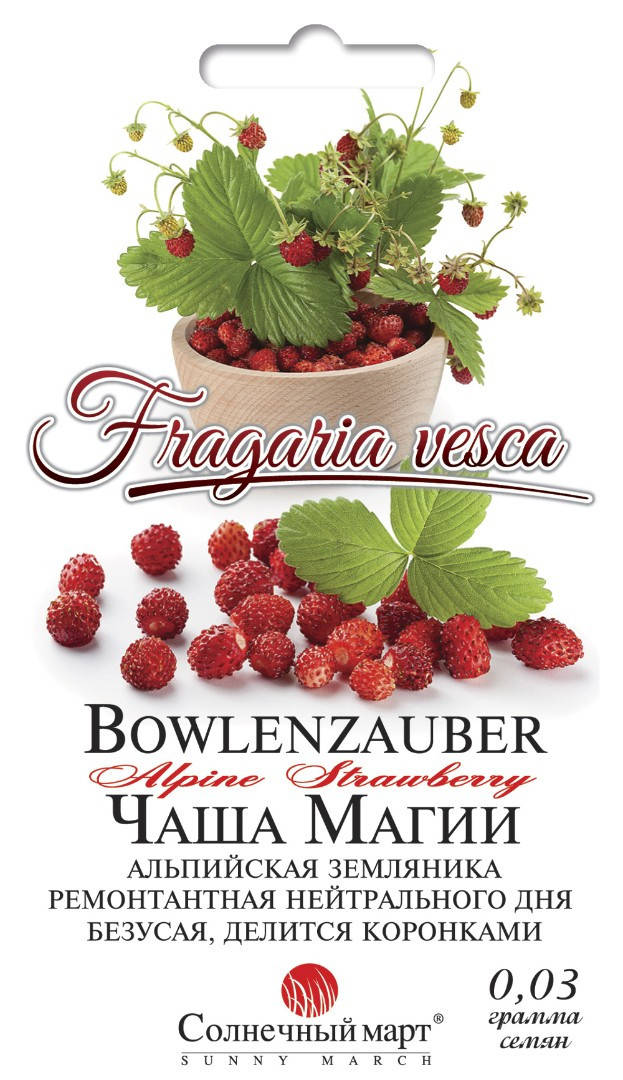 

Земляника Чаша магии, 0,03г.