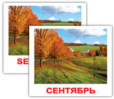 

«Времена года/Seasons» МИНИ 40 Карточки Домана