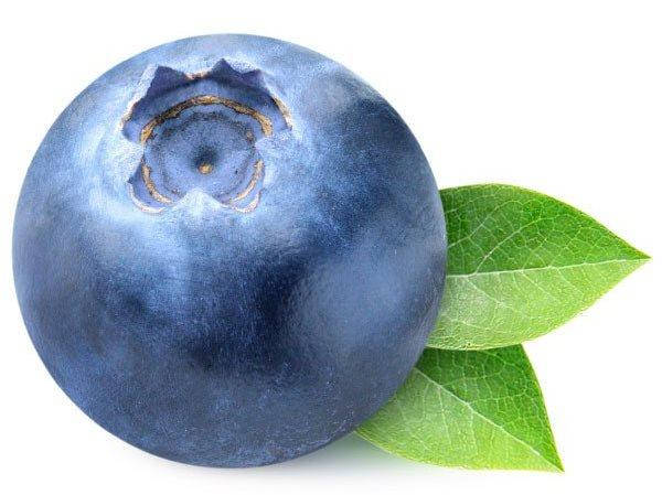 

Ароматизатор TPA Blueberry Wild (Дикая черника) 5мл.