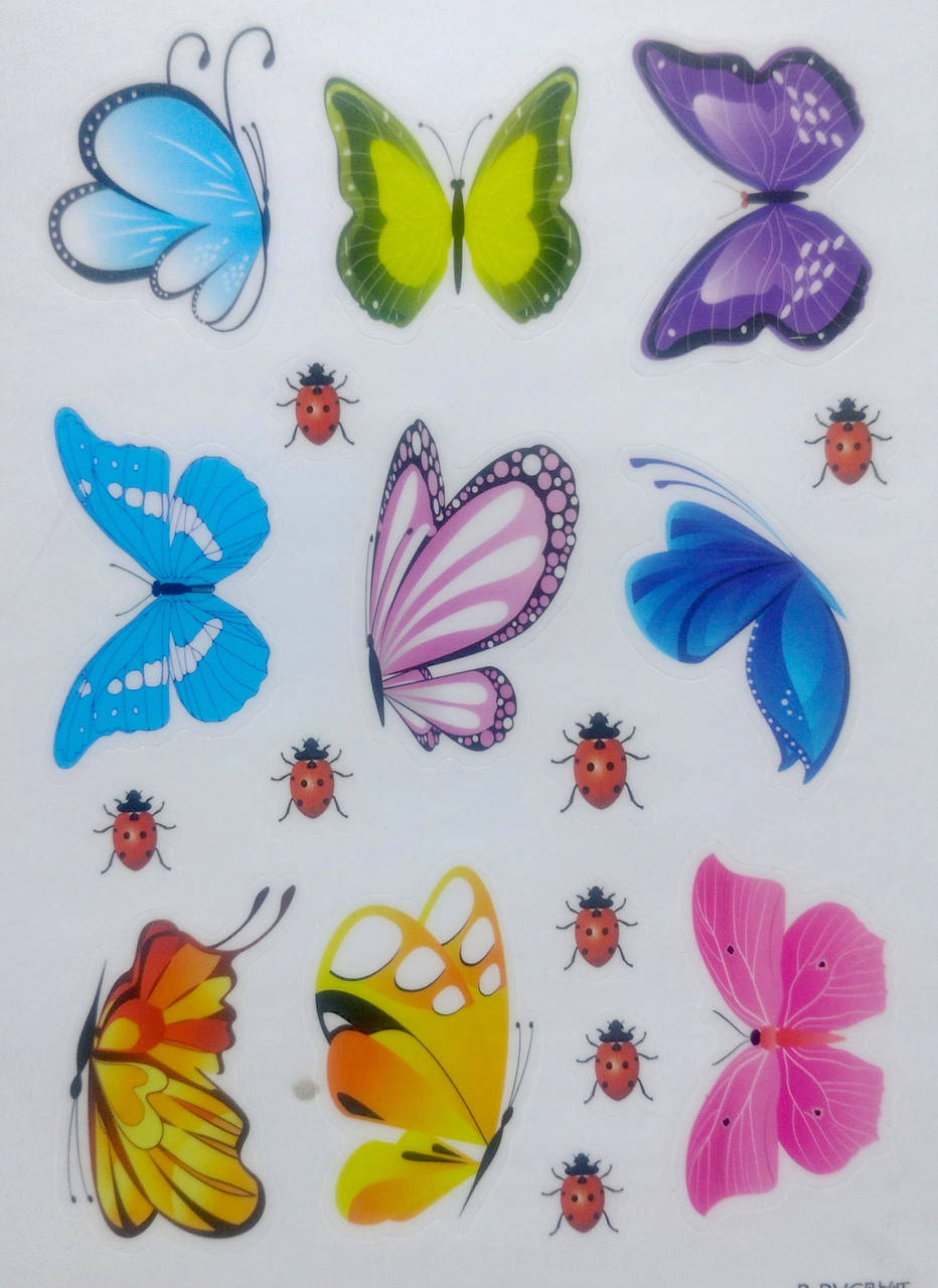 

Виниловые наклейки на стену, окна, шкафы "бабочки с божьими коровками 9штук" лист 18см*11см