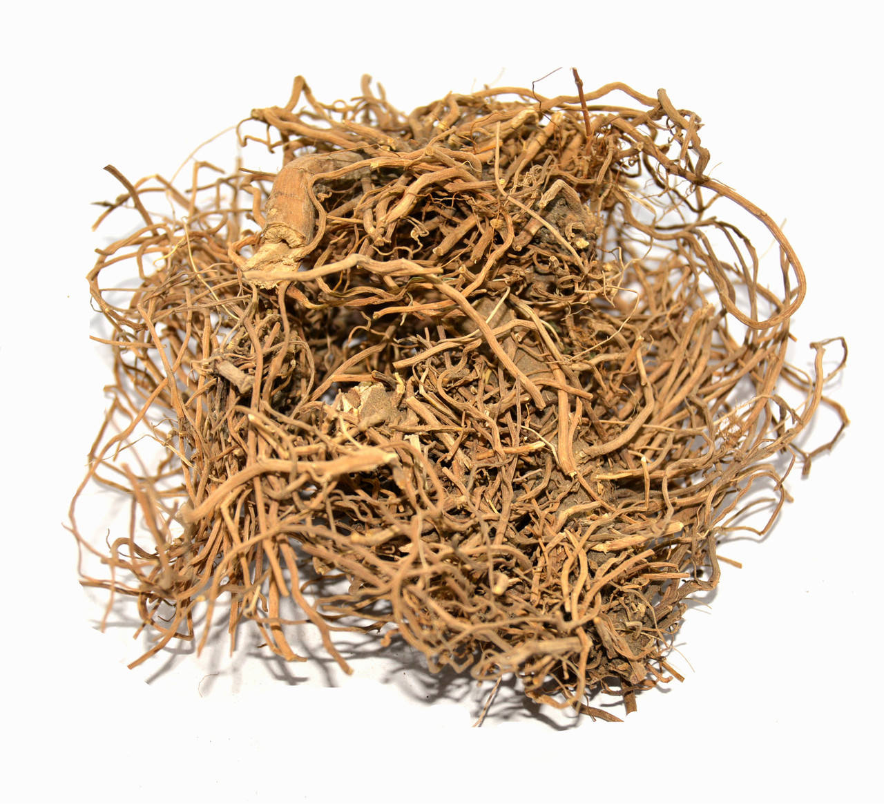 

Посконник пурпурный корень