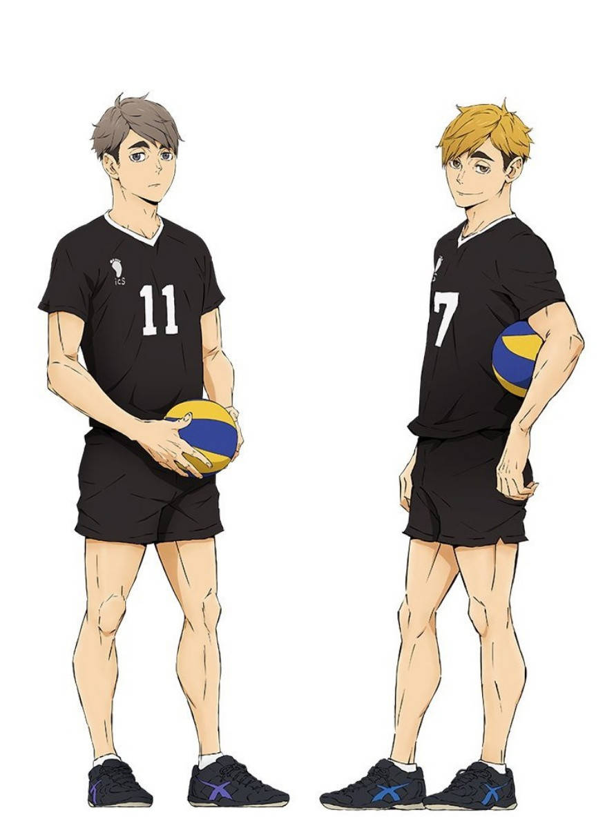 

150х50 см Подушка 1100 Грн Дакимакура Волейбол Атсуму и Осаму Мия Atsumu Osamu Miya обнимашка тян аниме принт, Разные цвета