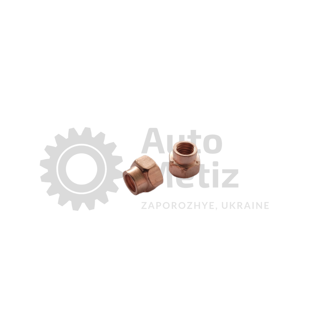 

Гайка (М8х1.25) омедненная (гайка коллектора ВАЗ 2101, 2105, 2106, 2107, 2108, 2109, 2110)